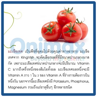 สารสกัดมะเขือเทศ Tomato extract 1,000ml.