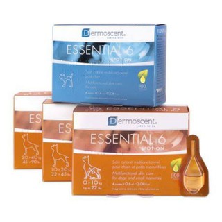 Dermoscent Essential 6 บรรจุ 4 หลอด