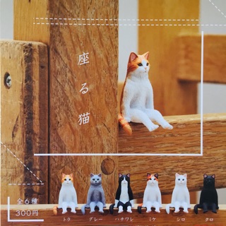 กาชาปอง Cat Sentado mini Figure Collection