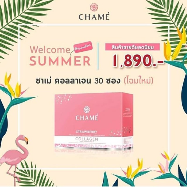 🔥‼️โฉมใหม่‼️ของแท้💯/ พร้อมส่ง Chame Collagen ชาเม่คอลลาเจน