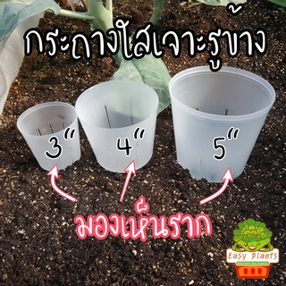 กระถาง ใส เจาะรูข้าง มี 3 ขนาด 3,4,5 นิ้ว ปลูกต้นไม้ สามารถมองทะลุ เห็นรากที่เกิดขึ้นมาได้ Transparent Tree pot