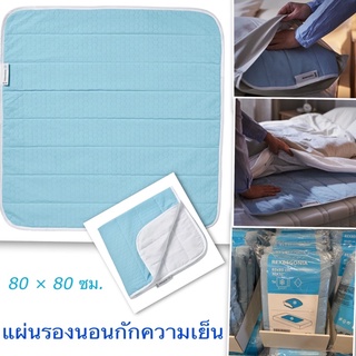 แผ่นความเย็น REXBEGONIA เร็กเบโกเนีย แผ่นรองนอนกักความเย็น cooling pad 80x80ซม ikea อีเกีย อิเกีย แผ่นรองนอนเก็บความเย็น