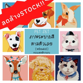 [Pet Set] ภาพระบายสีตามตัวเลข DIY ครบเซต งานศิลปะ ระบายสี ของเล่นเด็ก ของเล่นเสริมทักษะ ขนาด 20×20 ซม. [พร้อมส่ง!!]