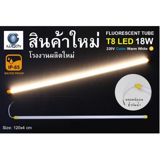 IWACHI หลอดนีออนสี ขั้วกันน้ำ รุ่นใหม่ LED T8 18W สีส้ม