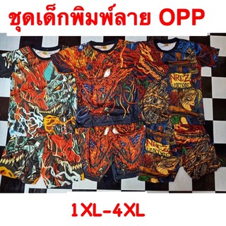 ชุดเด็กพิมพ์ลาย OPP ทั้งชุด 129 บาท ไซต์1XL-4XL🔥Big Promotion🔥