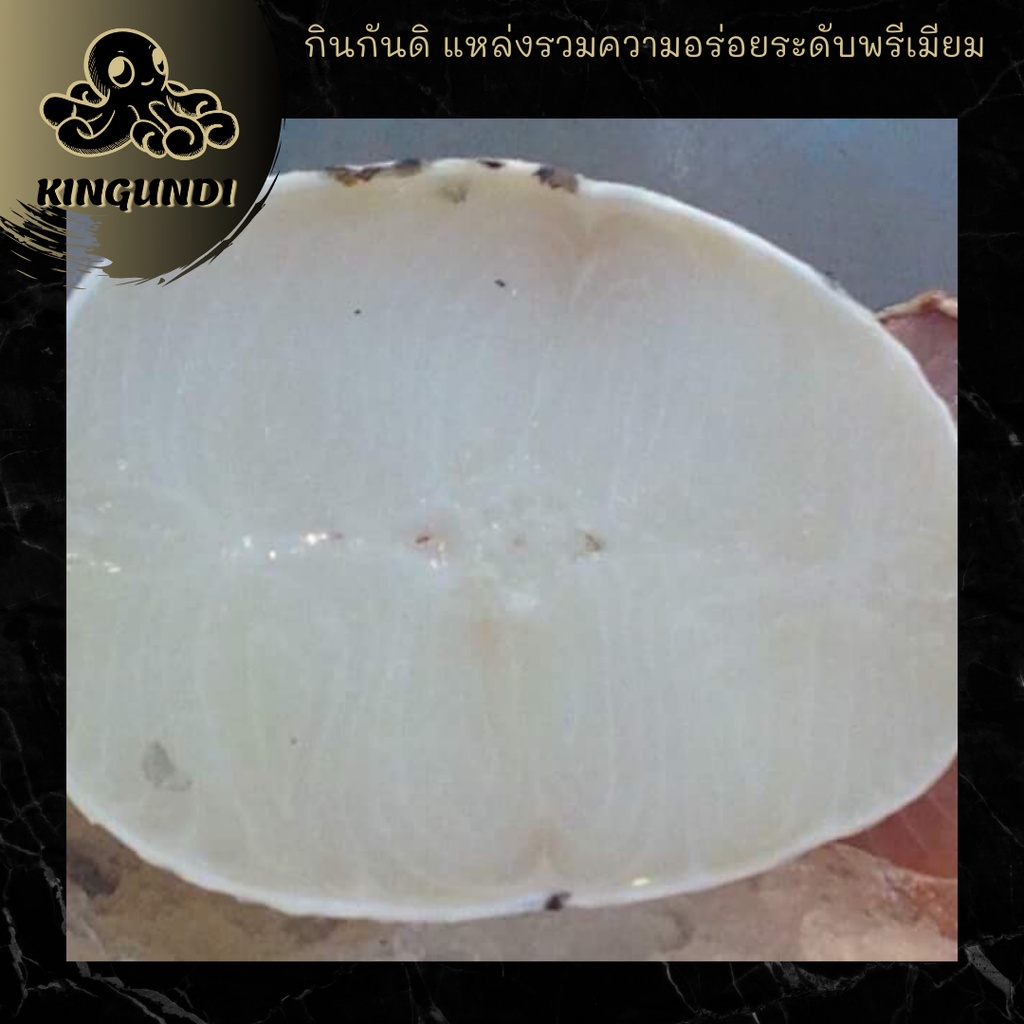 ปลาหิมะ ฝรั่งเศส ปลาหิมะแช่เเข็ง ปลาหิมะตัดชิ้น ​Snow fish - รูปที่ 4