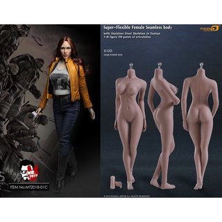 พร้อมส่งทั้งตัว งานแบช MR.TOYS MT2018-01-C Red Hair Megan Fox set + PHICEN S12D Body Stainless (Large bust, Suntan) เท้า