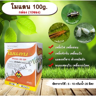 โมแลน 100g. 1 กล่อง 10 ซอง อะซีทามิพริด อะเซทามิพริด สารกำจัดแมลง เพลี้ยไฟ แมลงหวี่ขาว ด้วงหมัดผัก allaboutplants