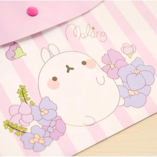 ซองเอกสารลายการ์ตูนสีแบบกระดุม ชิ้นละ 18 บาท ขนาด 33x24 ซ.ม สุ่มลาย