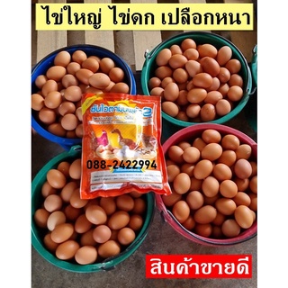 ไข่ดกใบใหญ่ บำรุงไก่ไข่เข้มข้น วิตามิน+แคลเซียม ฟาร์มใช้เยอะ รีวิวแน่น ซันไวตามินพลัส2 (ถุงนี้ 2 กิโล)