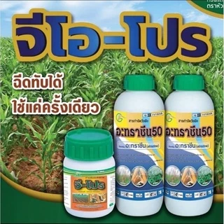 🌹👉จีโปร2พลัง+ : ยาคุม-ฆ่า กำจัดวัชพืในข้าวโพดและอ้อย🌽(สินค้าขายดี)