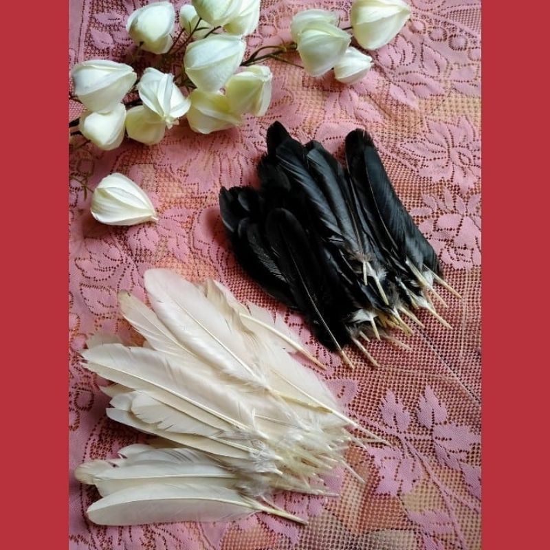 ขนนกยาว20ซมขนไก่ปีกบรรจุ100เมล็ด||ขนไก่ตรง|