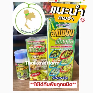 อาเมซอนเขียวสด ธาตุอาหารสำหรับพืชทุกชนิด ขายดี💥เร่งต้น เร่งใบ เร่งเขียว สาหร่าย อะมิโน