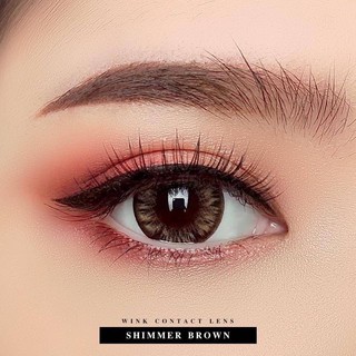 (2) Chimmer / Shimmer / Trap / Icy-X Brown บิ๊กอาย สีน้ำตาล สายตาสั้น ค่าสายตา คอนแทคเลนส์ Contact Lens Chestnut WinkWow