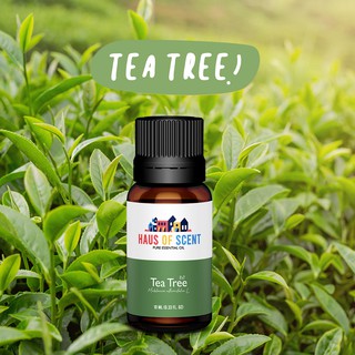 น้ำมันหอมระเหย ทีทรี (Tea Tree) 10 ml. (Pure Essential Oil) -  น้ำมันอโรม่า น้ำมันหอมใส่เครื่องพ่นอโรม่า