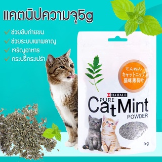 🐱FS🦮 อาหารแมว Catnip กัญชาแมว ช่วยขับถ่ายขน ช่วยระบบเผาผลาน เจริญอาหาร กระปรี้กระเปร่า 5 กรัม / ถุง