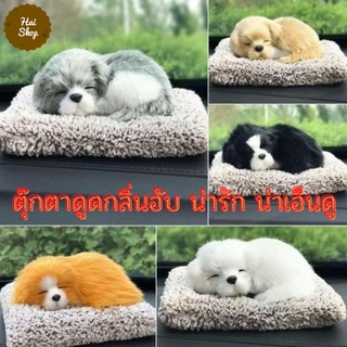 ตุ๊กตาดูดกลิ่นอับน้องหมา ตุ๊กตาดับกลิ่น ดูดกลิ่นอับในบ้าน ในรถยนต์ ตุ๊กตาดูดกลิ่นไม่พึงประสงค์ ตุ๊กตาน้องหมาดูดกลิ่น