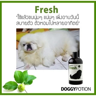 Doggy Potion Fresh Shampoo 500ml&2000ml