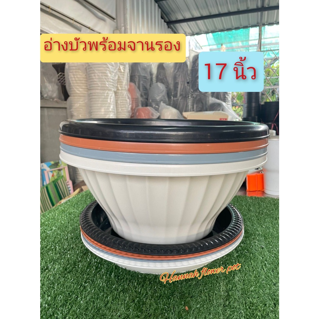 My Image 20