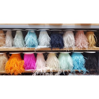 เทปขนนกกระจอกเทศรุ่นยาว 13-15cm Ostrich Feather Lace Trim