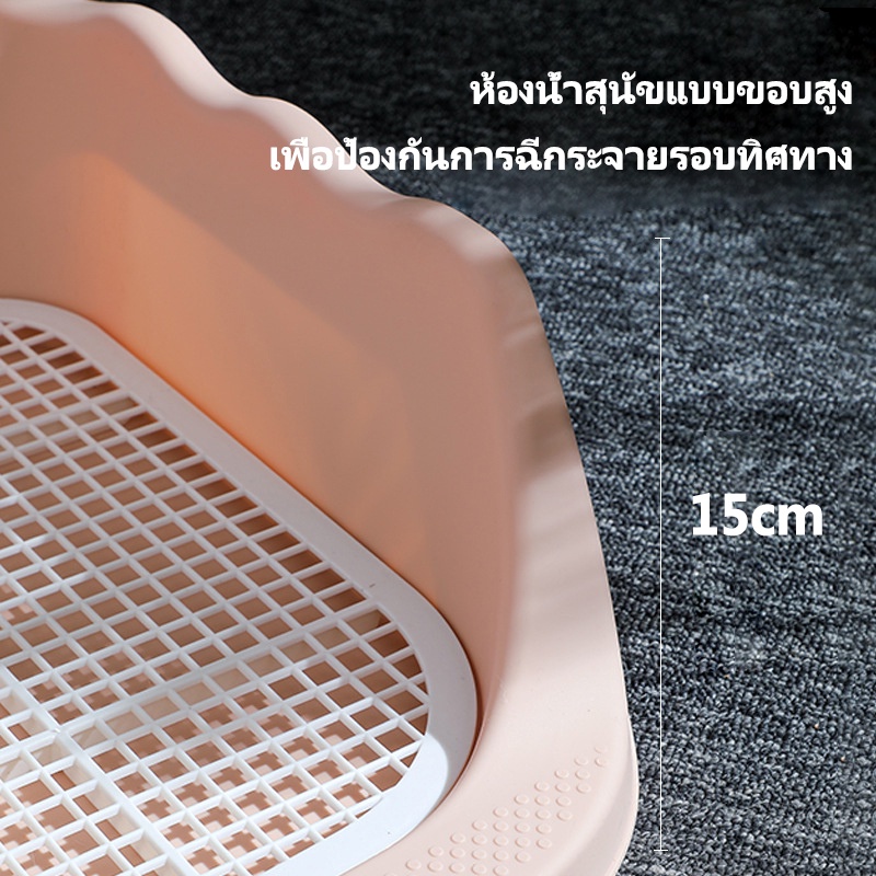 รูปภาพ 3