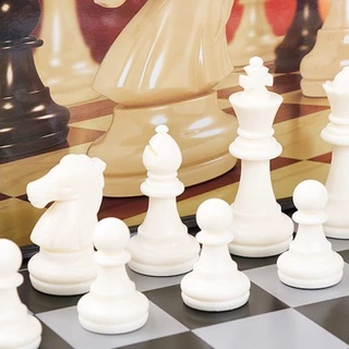 เล่นเด็กบอ�ดเกมหมากรุกสากลแม่เหล็กของมันบอร์ด Black&White Magnetic Chess