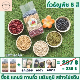 🔥ชุดสุดคุ้มซื้อ2แถม3🔥ถั่วธัญพืช5สี เสริมภูมิสร้างโปรตีน 500g ในถุงสูญญากาศ2ถุง แถมฟรี ลูกเดือย งาดำ งาขาว