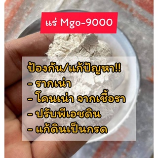 MGO9000แก้รากเน่าเชื้อราปรับPHดิน