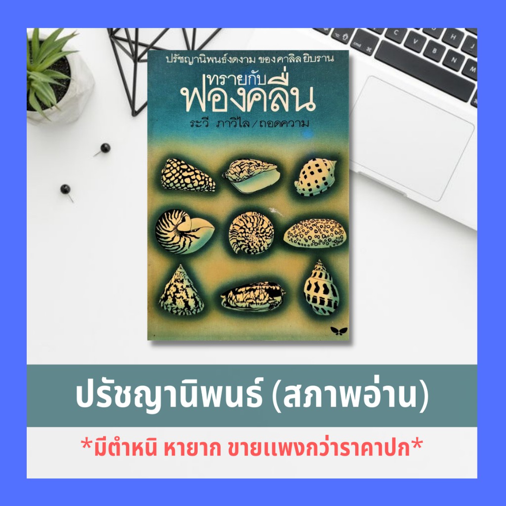 My Image 13