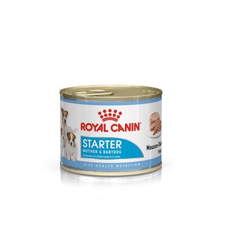 [12 กระป๋อง] อาหารกระป๋อง Royal canin(โรยัล คานิน) Starter Mousse (สุนัข)195 g