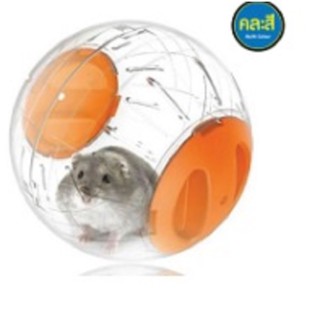 Hamster Ball ลูกบอลออกกำลังกาย ของเล่นบอล สำหรับหนูแฮมเตอร์ Size M ขนาด 15x15 ซม คละสี