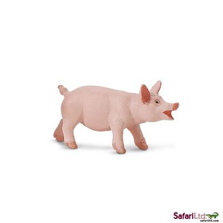 Safari Ltd. : SFR234029 โมเดลสัตว์ SF Classic Piglet