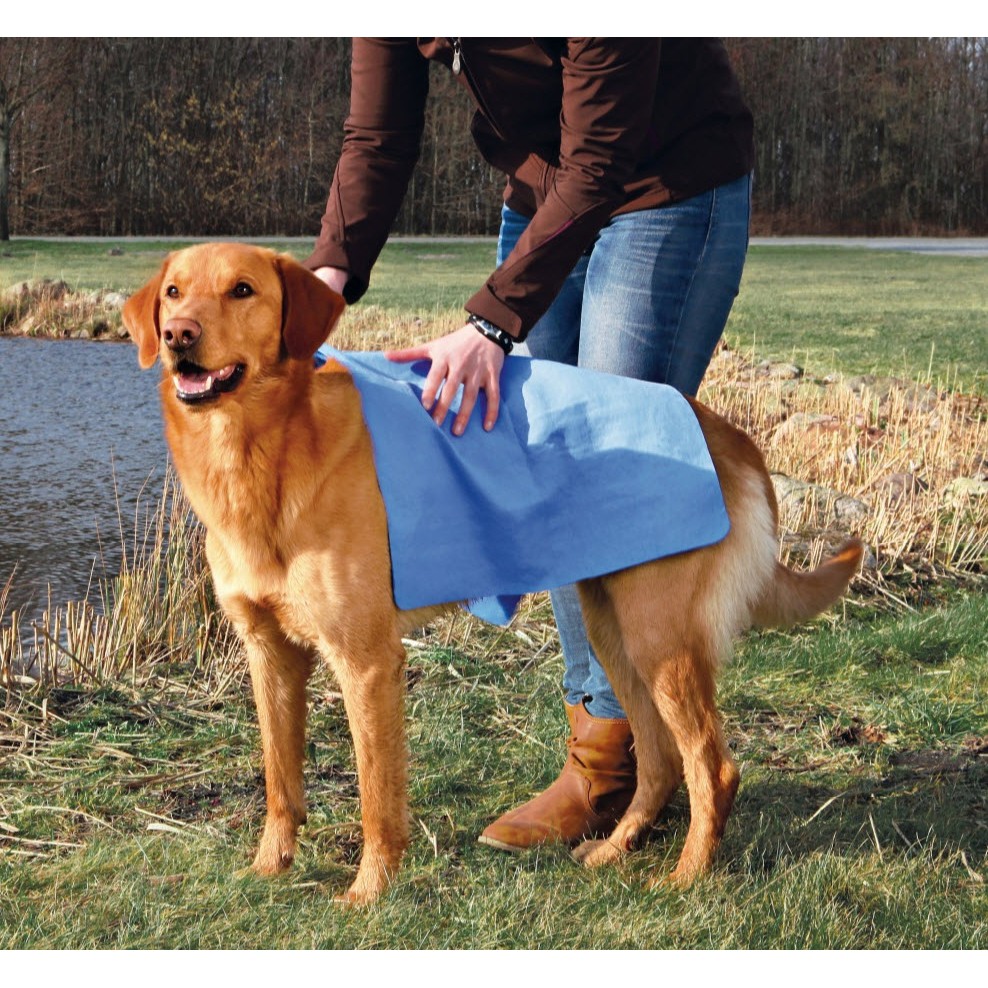 Foam Bioline เเชมพูโฟม แชมพูอาบแห้ง / โฟมอุ้งเท้าพร้อมเเปรง(Paw Foam with brush)  ต่อต้านสิ่งสกปรก ไวรัสและแบคทีเรีย - รูปที่ 5