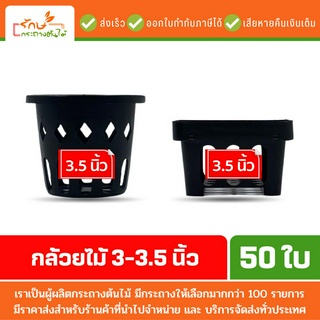 กระทางต้นไม้ กระถางพลาสติก กระถางต้นไม้สวยๆ กล้วยไม้ 3.5 นิ้ว สีดำ 50 ใบ