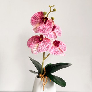 ดอกไม้ประดิษฐ์ Phalaenopsis High-End สําหรับตกแต่งบ้าน