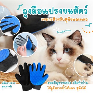 Hajika 😺 ถุงมือแปรงขน ถุงมือรูดขนสัตว์ ถุงมือแปรงขนแมว สุนัขTrue Touch Pet the hair (ไม่มีกล่องแพ็คคเกจ) ถุงมือแปรงขนแมว