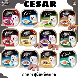 CASAR อาหารเปียกชนิดถาด ปกติชิ้นละ 45 บาท พิเศษซื้อ  3 ชิ้น 130 บาท !!!!!!!!!!!!!!!!