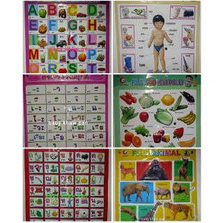 พร้อมส่ง โป้สเตอร์พลาสติกแบบหัดอ่านภาษาไทยอังกฤษนับเลขรูปสัตว์ผักผลไม้