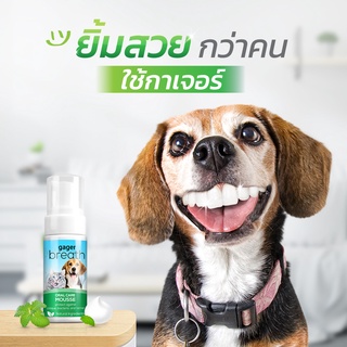 แหล่งขายและราคาGager (50 ml.) โฟมดับกลิ่นปากสุนัขและแมว ลดคราบพลัค แบคทีเรีย และหินปูนในช่องปาก กินได้ สกัดจากสมุนไพรอาจถูกใจคุณ