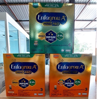เอนฟาโกร นมผงสำหรับเด็ก ช่วงวัยที่3 และ 4 เอพลัส 360 ดีเอชเอพลัส เอ็มเอฟจีเอ็ม โปร รสจืดและวานิลลา1575 กรัม