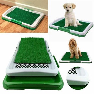 Puppy Potty Pad ห้องน้ำสัตว์เลี้ยง ห้องน้ำสำหรับสุนัข รุ่น puppyPotty-26Aug-J1