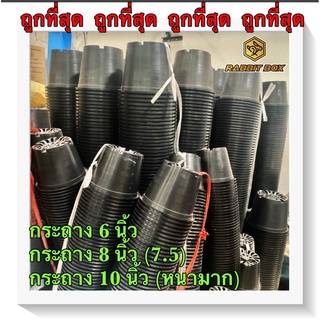 กระถางต้นไม้ สีดำ ขนาด 6-8-10 นิ้ว จำนวน 50 ใบ