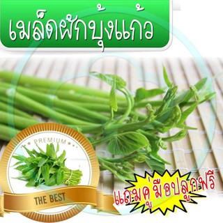 🔥ลด50% ใส่โค้ด INC3LE7Z🔥 เมล็ดพันธุ์ผักบุ้งแก้ว 1200 เมล็ด พร้อมคู่มือปลูก