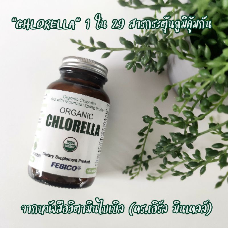 💚 3 ขวด ส่งฟรี💚 โปรต้านโควิด organic chlorella Febico ล้างสารพิษ เสริมภูมิคุ้มกัน ลดสิว ผิวเด้ง หลับ