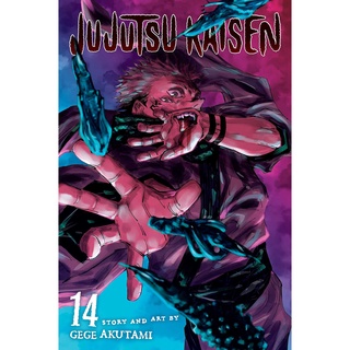 Jujutsu Kaisen 14 (Jujutsu Kaisen)