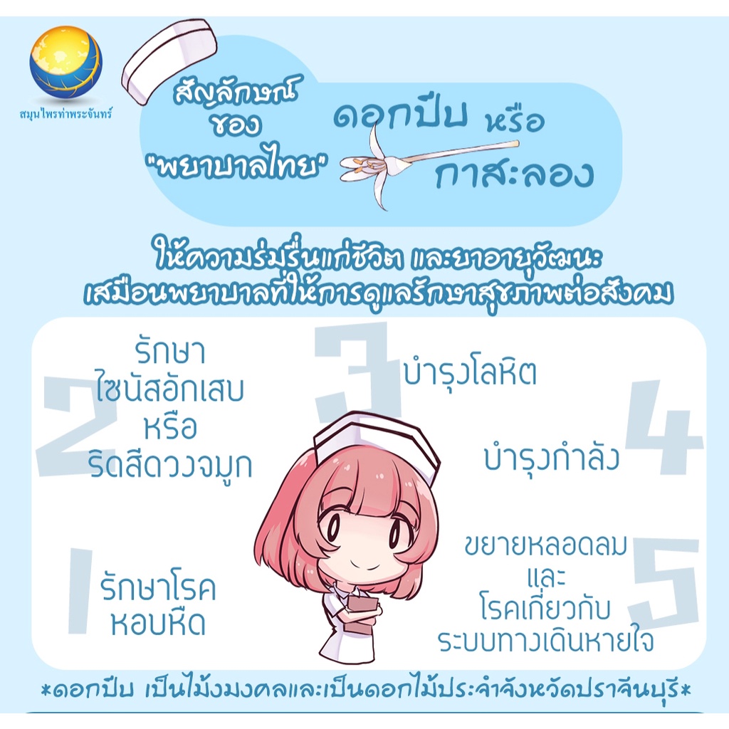 ดอกปีบแห้ง A ขนาด 100 กรัม 59 บาท(คัดมือ ด้วยความใส่ใจ)ดอกกาสะลองแห้ง ดอกปีป แหล่งรวมสมุนไพรแห้งและบดผงมากกว่า 1200 ชนิด - รูปที่ 2