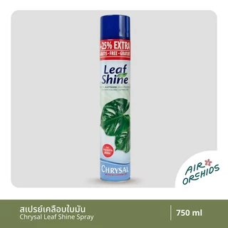 สเปรย์เคลือบใบมัน คริสซอล (Chrysal Leaf Shine) สเปรย์ที่ร้านขายต้นไม้เลือกใช้ ของแท้100%
