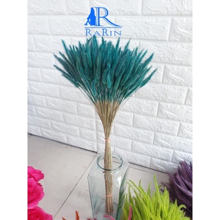 Rarin ดอกหญ้าหางกระรอก (สีเขียวเข้ม)(กำเล็ก 30-35 ก้าน) เป็นดอกไม้ธรรมชาติ ย้อมสี แต่งร้าน พร๊อพถ่ายรูป DIY