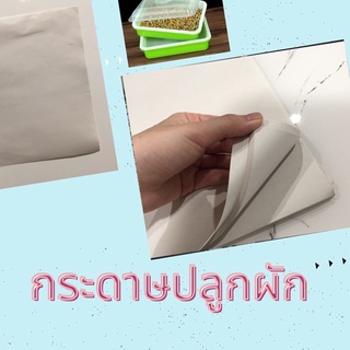 📌พร้อมส่ง ถูกสุด กระดาษเพาะผักไร้ดิน 500 แผ่น กระดาษปลูกผัก กระดาษปลูกพืชไร้ดิน