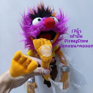 #ตุ๊กตา #Muppets Animal Exclusive #17นิ้ว #เท้าปั๊มดิสนีย์ #Disney Store #ราคาในebayแพง #ป้ายชัด หนังที่กำไลกับปลอกคอลอก